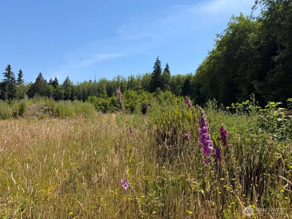 434 W Bulb Farm Road Shelton WA 98584