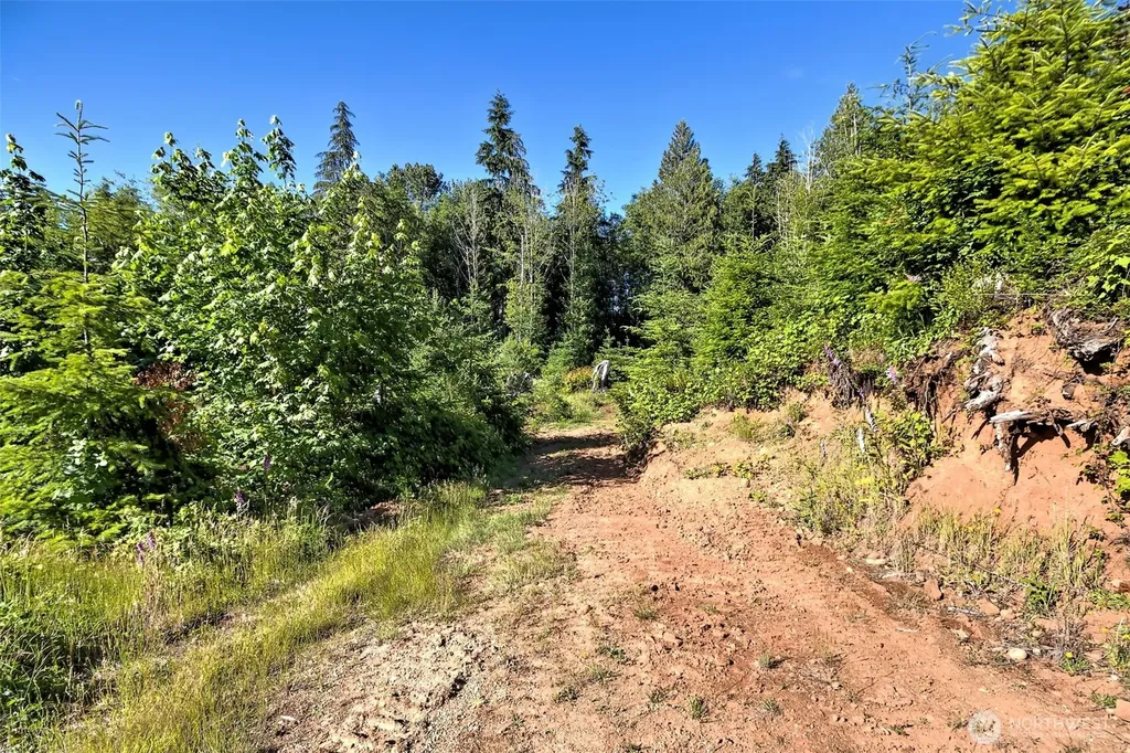 434 W Bulb Farm Road Shelton WA 98584