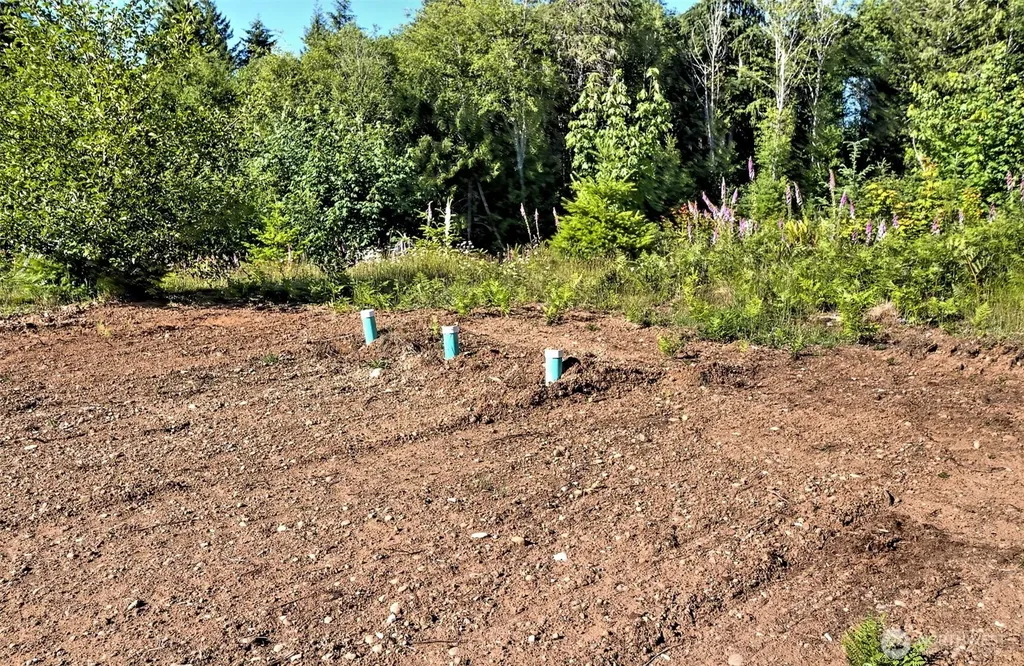 434 W Bulb Farm Road Shelton WA 98584