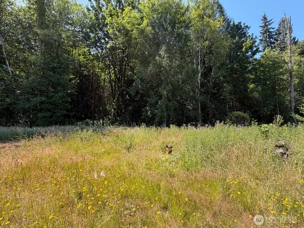 434 W Bulb Farm Road Shelton WA 98584