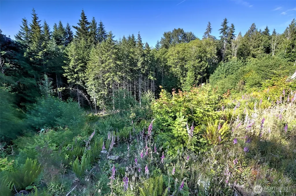 434 W Bulb Farm Road Shelton WA 98584