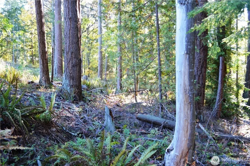 16100 40th Place Bellingham WA 98229