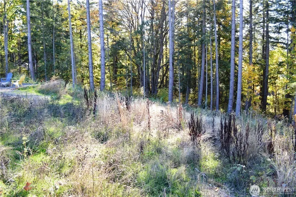 16100 40th Place Bellingham WA 98229