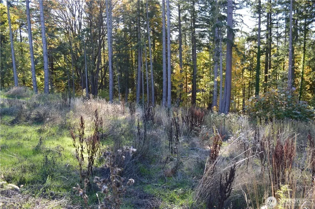 16100 40th Place Bellingham WA 98229