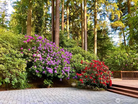 3825 132nd Avenue NE Bellevue WA 98005