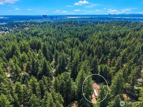 3825 132nd Avenue NE Bellevue WA 98005