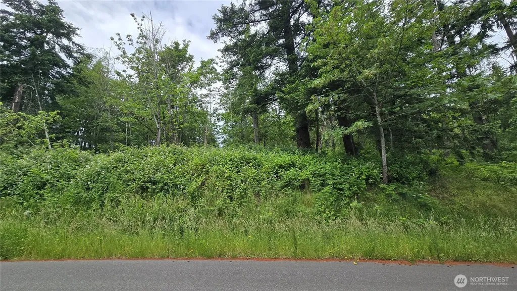 27339 SE 403rd (Lots 39,47,48,49) Street Enumclaw WA 98022