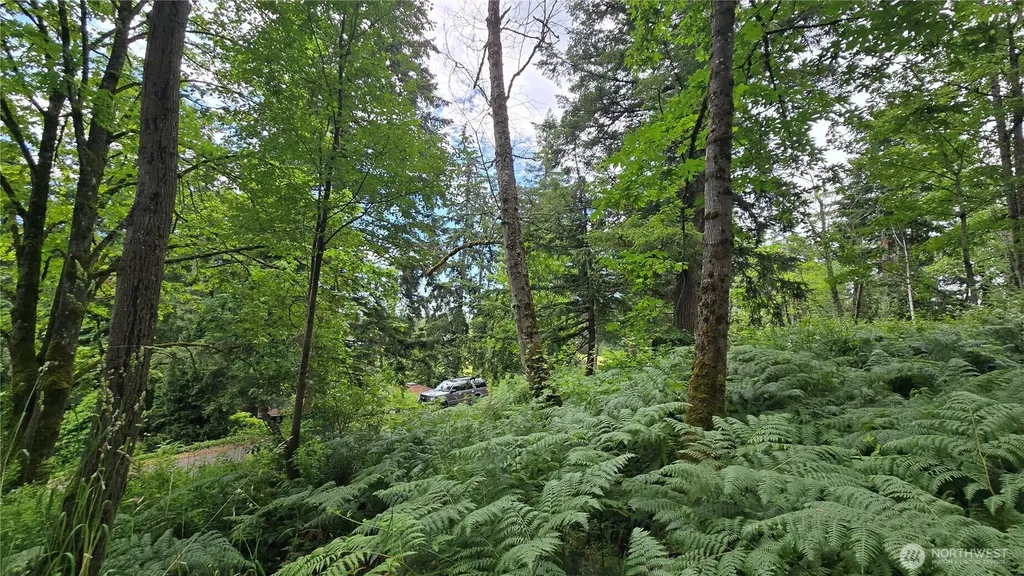 27339 SE 403rd (Lots 39,47,48,49) Street Enumclaw WA 98022