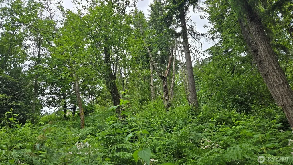 27339 SE 403rd (Lots 39,47,48,49) Street Enumclaw WA 98022