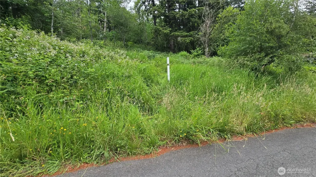 27339 SE 403rd (Lots 39,47,48,49) Street Enumclaw WA 98022