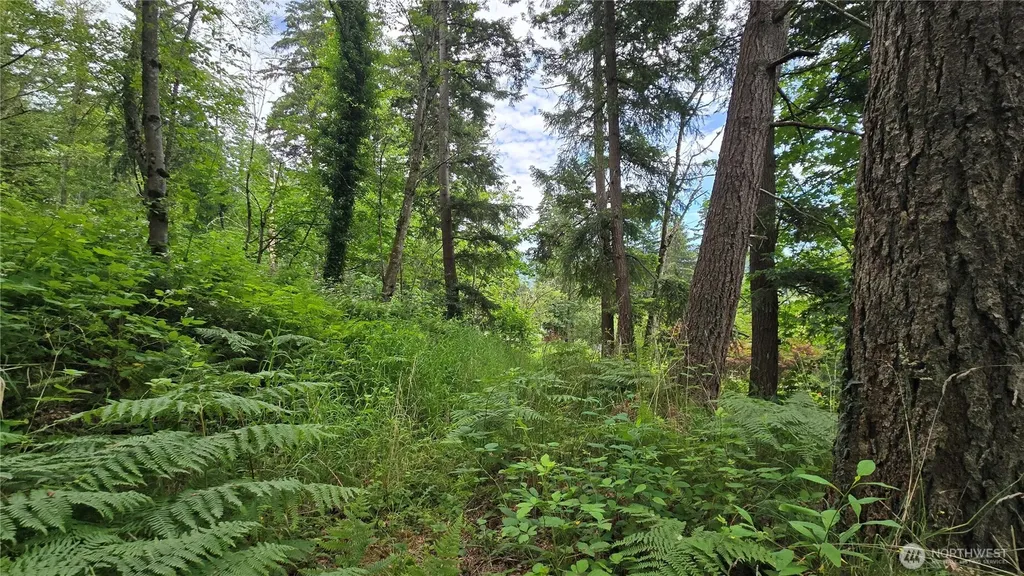 27339 SE 403rd (Lots 39,47,48,49) Street Enumclaw WA 98022
