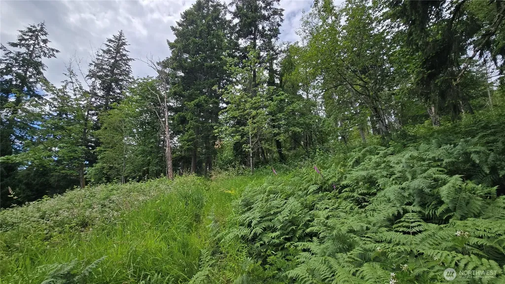 27339 SE 403rd (Lots 39,47,48,49) Street Enumclaw WA 98022