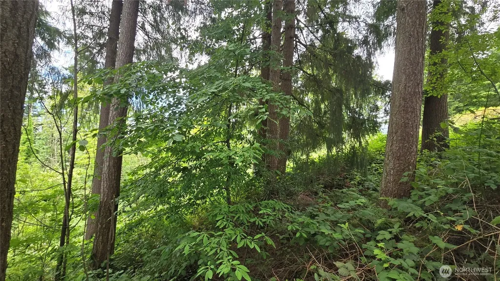 27339 SE 403rd (Lots 39,47,48,49) Street Enumclaw WA 98022
