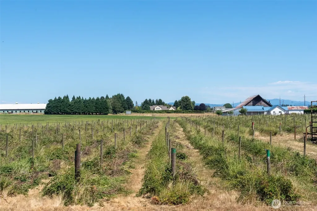 1128 N Auburn Place Ridgefield WA 98642