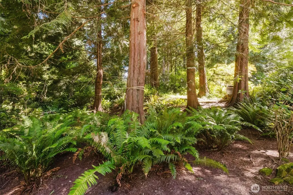 7215 NE Dolphin Drive Bainbridge Island WA 98110