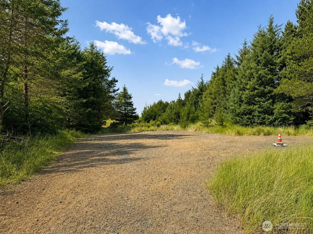 1195 215 Th Lane Ocean Park WA 98640