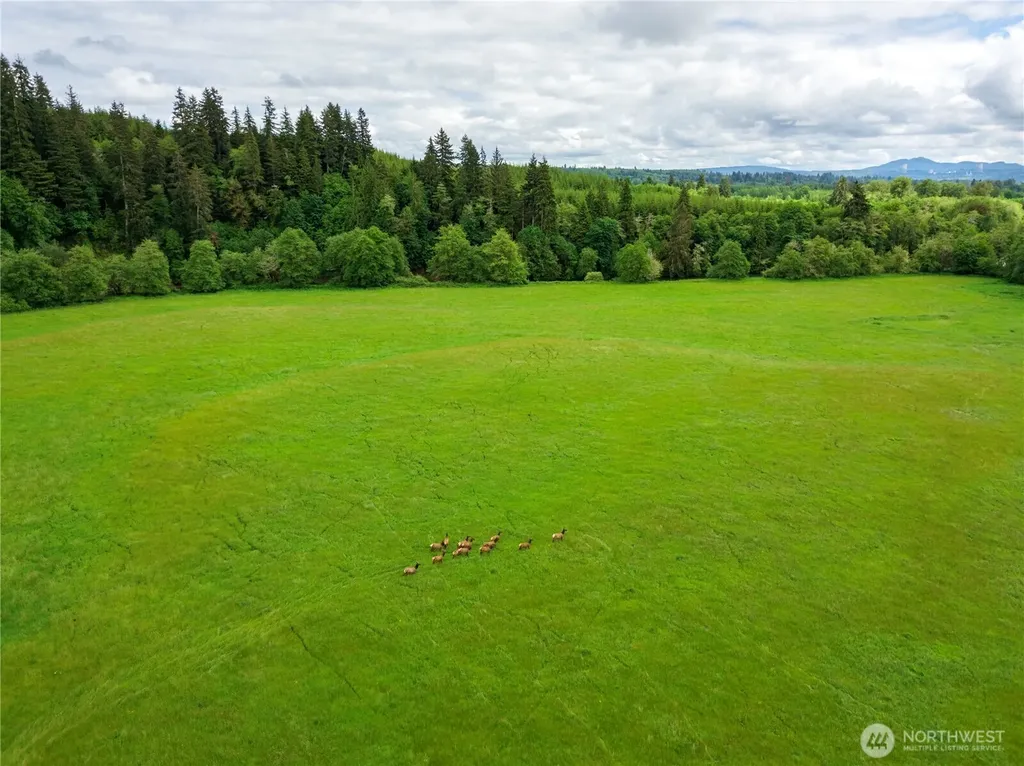 732 Satsop Road W Montesano WA 98563