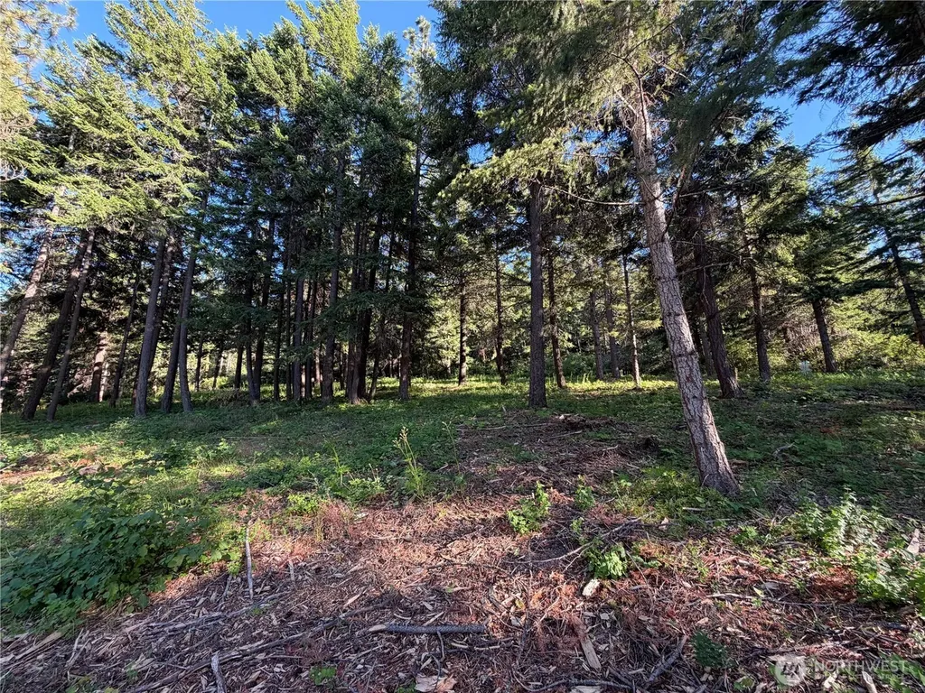 1330 Black Hawk Drive Cle Elum WA 98922