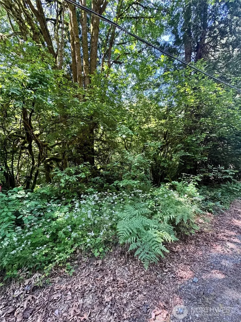 12014 126th Avenue NW Gig Harbor WA 98329