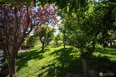 4405 Cove Road Ellensburg WA 98926