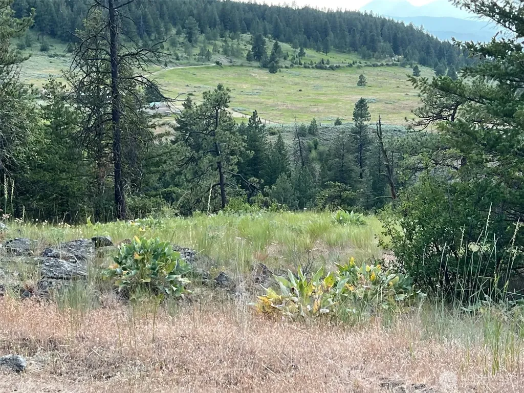 240 W Corral Drive Oroville WA 98844