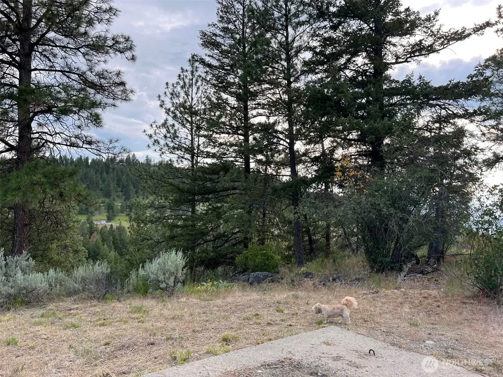 240 W Corral Drive Oroville WA 98844
