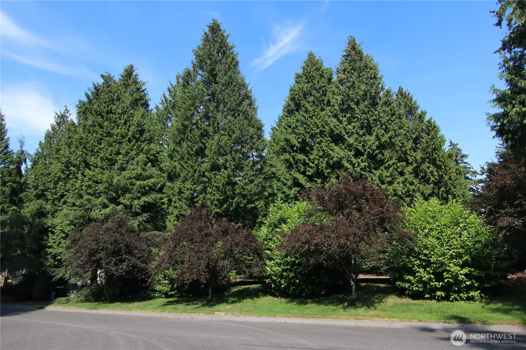 8652 Wood Duck Way Blaine WA 98230