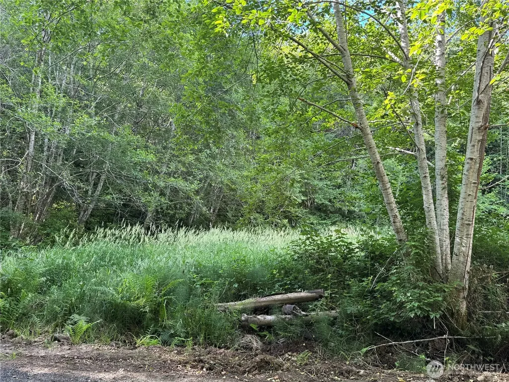 190 W Thunderbird Drive Elma WA 98541
