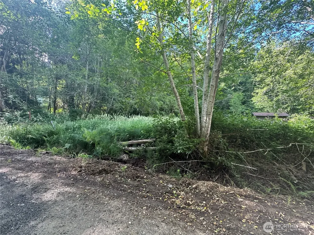 190 W Thunderbird Drive Elma WA 98541