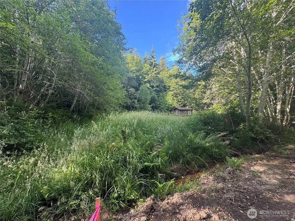 190 W Thunderbird Drive Elma WA 98541