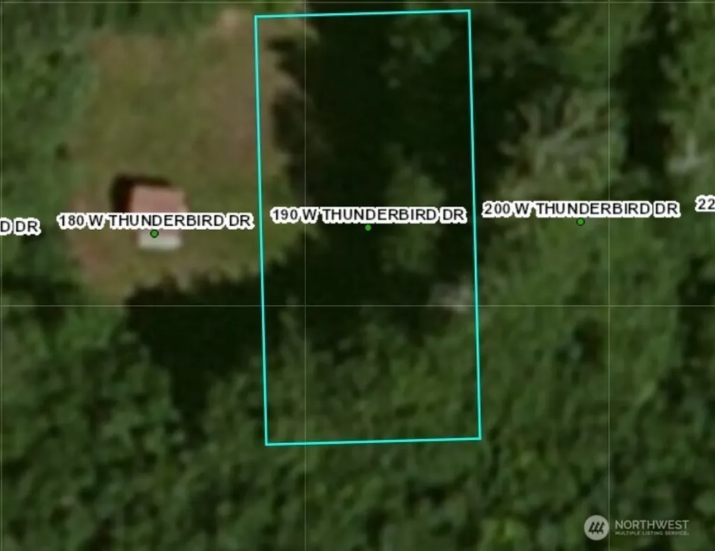 190 W Thunderbird Drive Elma WA 98541