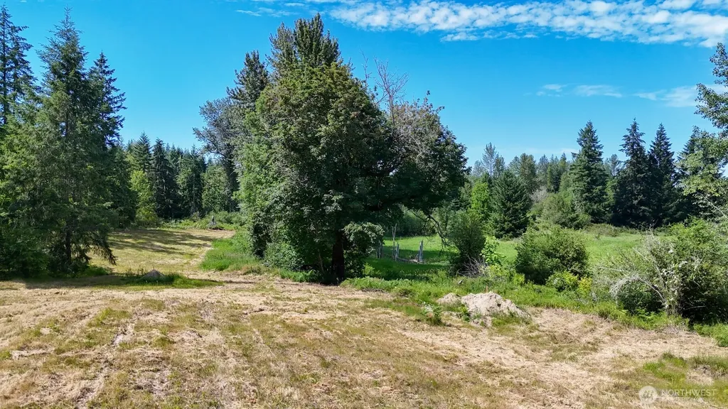 21842 Elbow Lake Road SE Yelm WA 98597