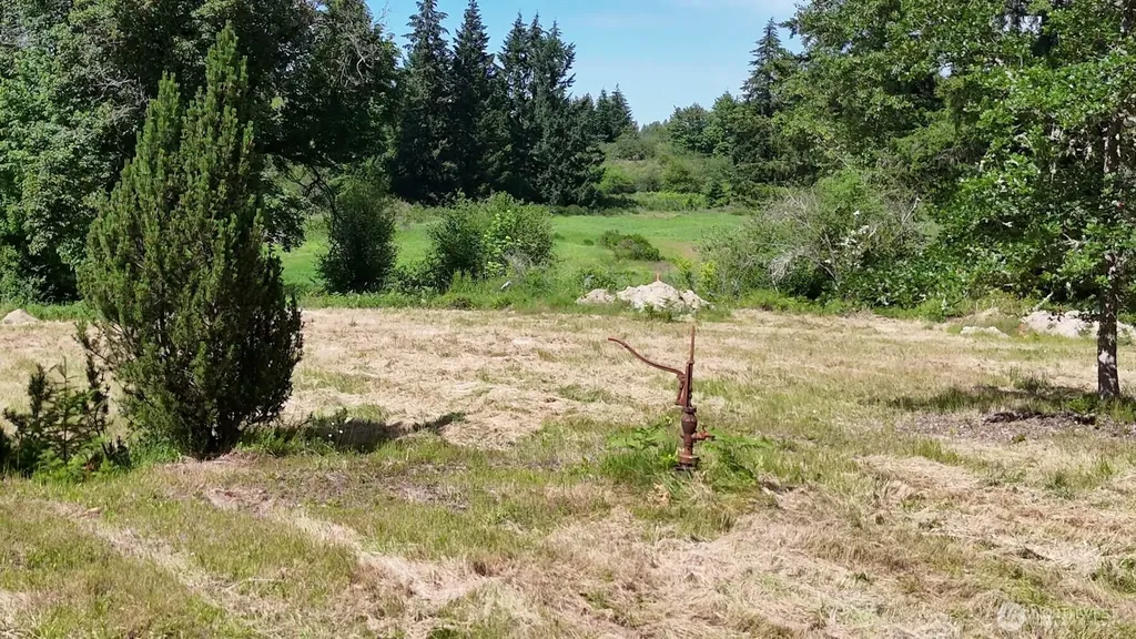 21842 Elbow Lake Road SE Yelm WA 98597