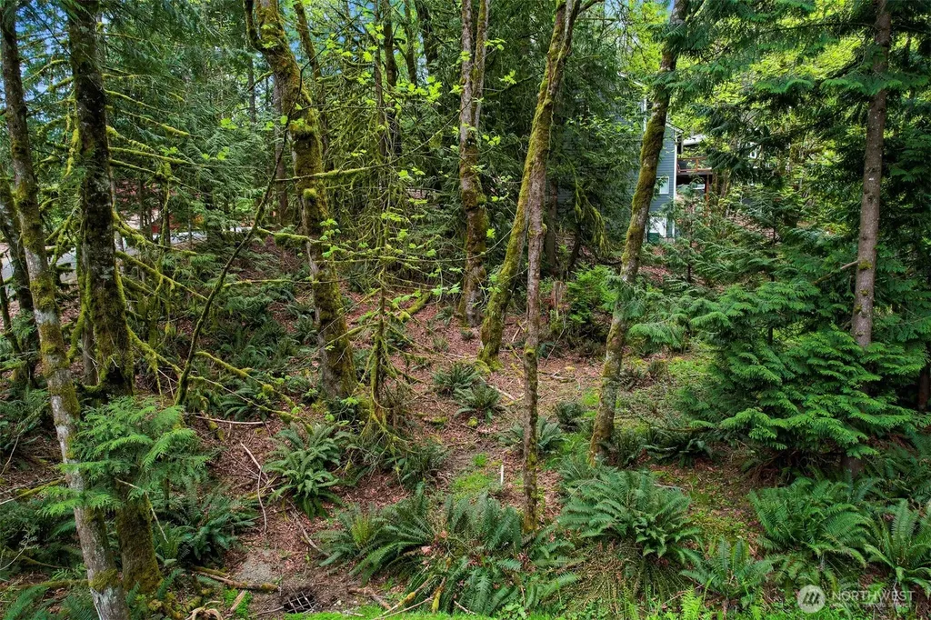 4 Indian Ridge Court Bellingham WA 98229