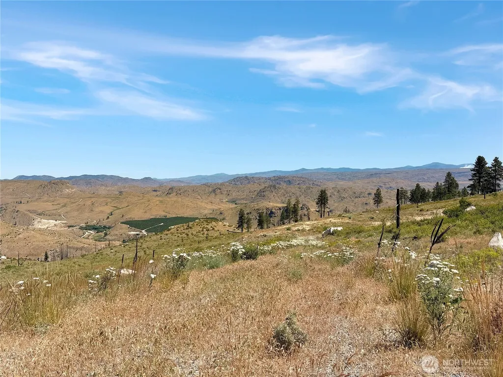53 E Mountain Point Brewster WA 98812
