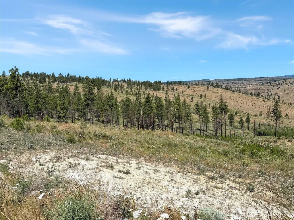 53 E Mountain Point Brewster WA 98812