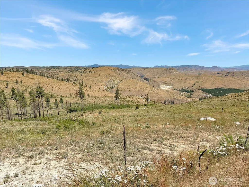 53 E Mountain Point Brewster WA 98812