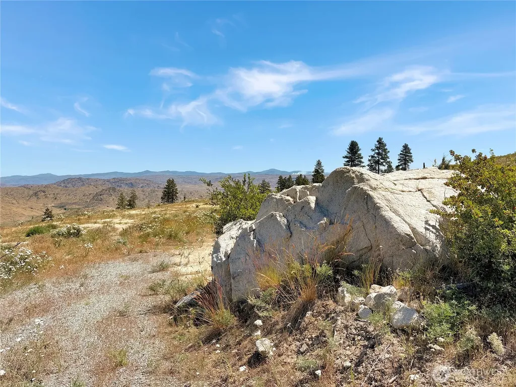 53 E Mountain Point Brewster WA 98812