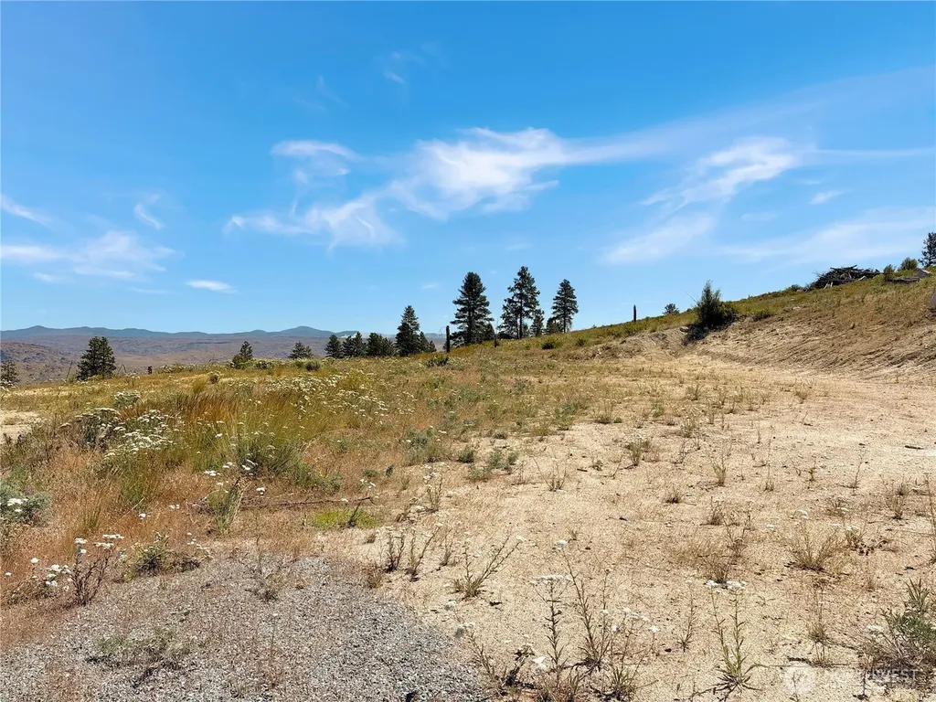 53 E Mountain Point Brewster WA 98812