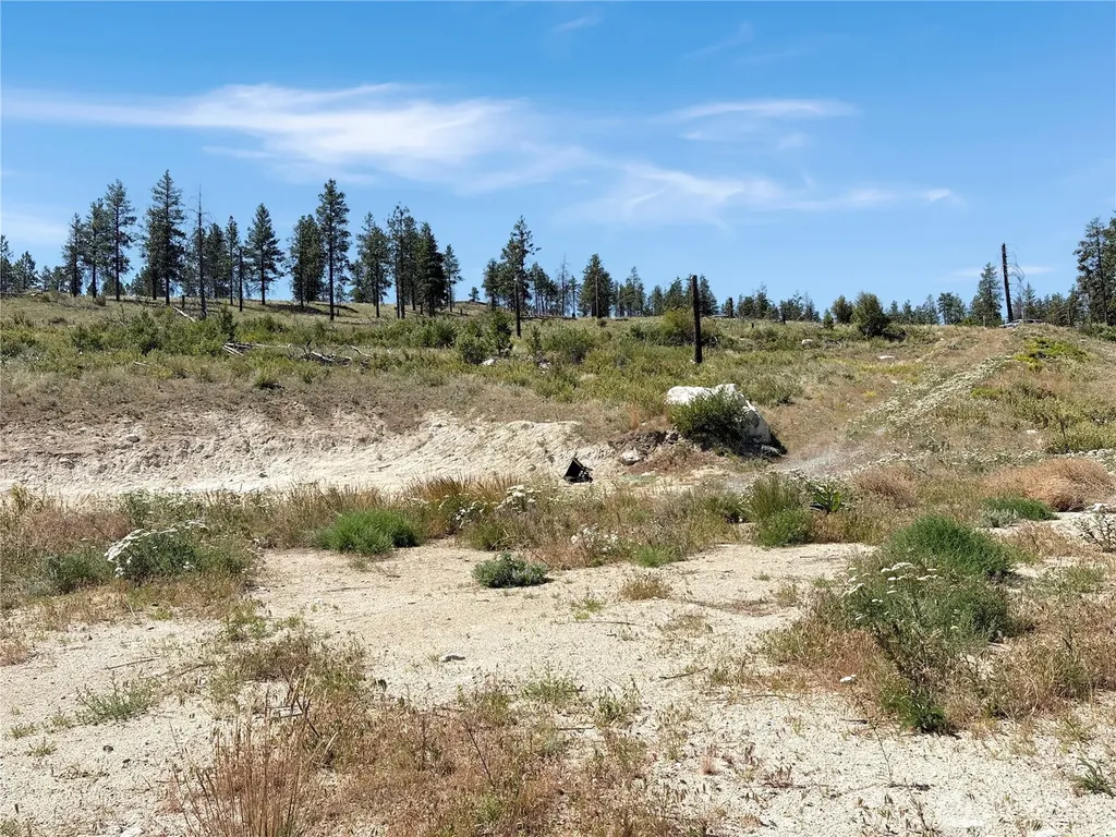 53 E Mountain Point Brewster WA 98812