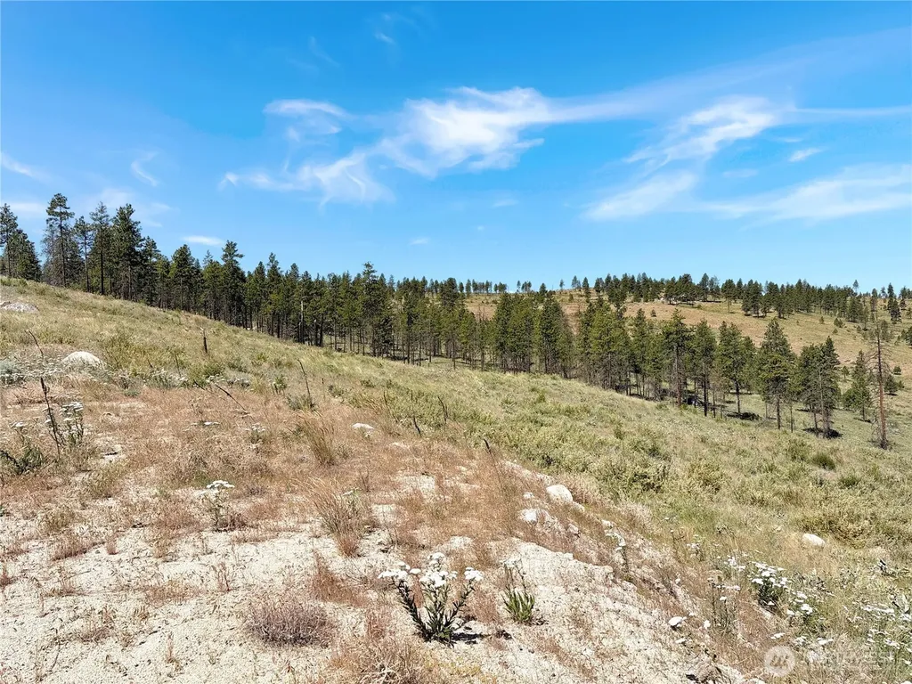 53 E Mountain Point Brewster WA 98812