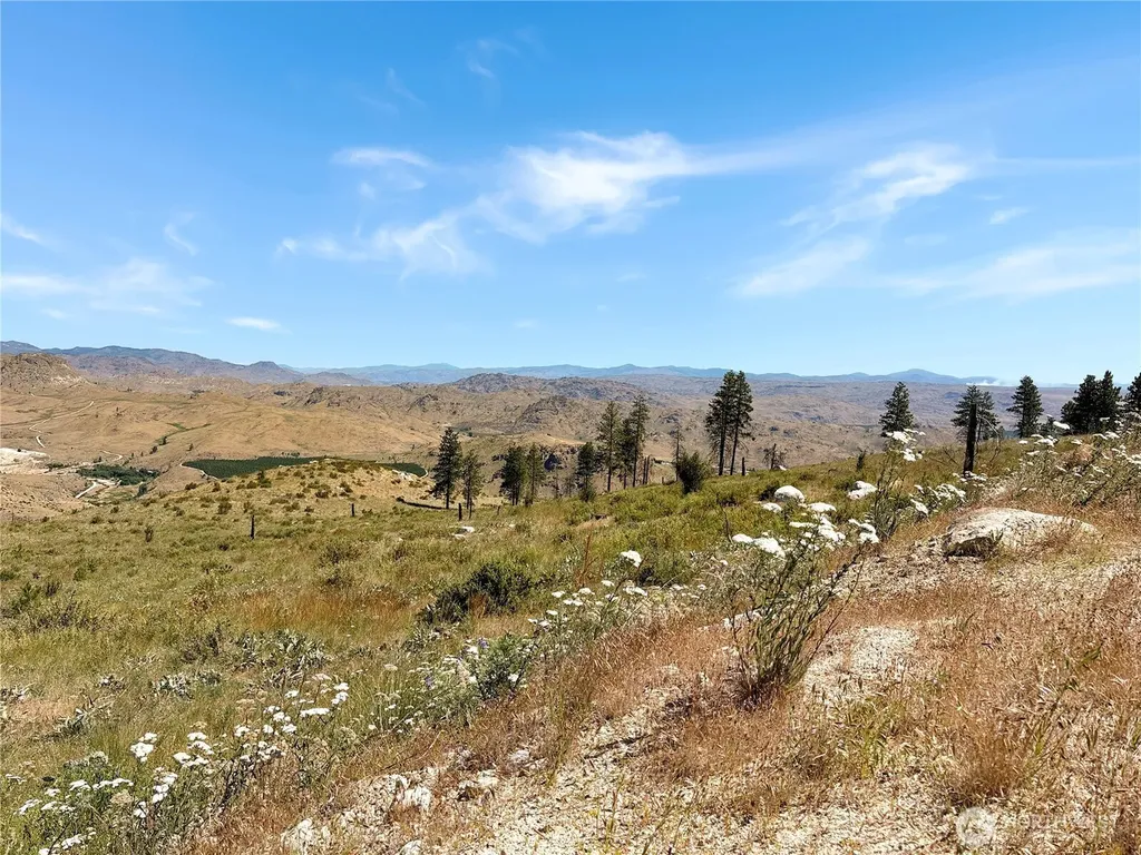 53 E Mountain Point Brewster WA 98812