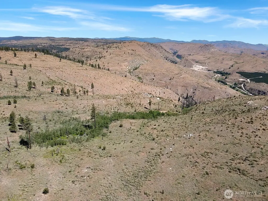 53 E Mountain Point Brewster WA 98812