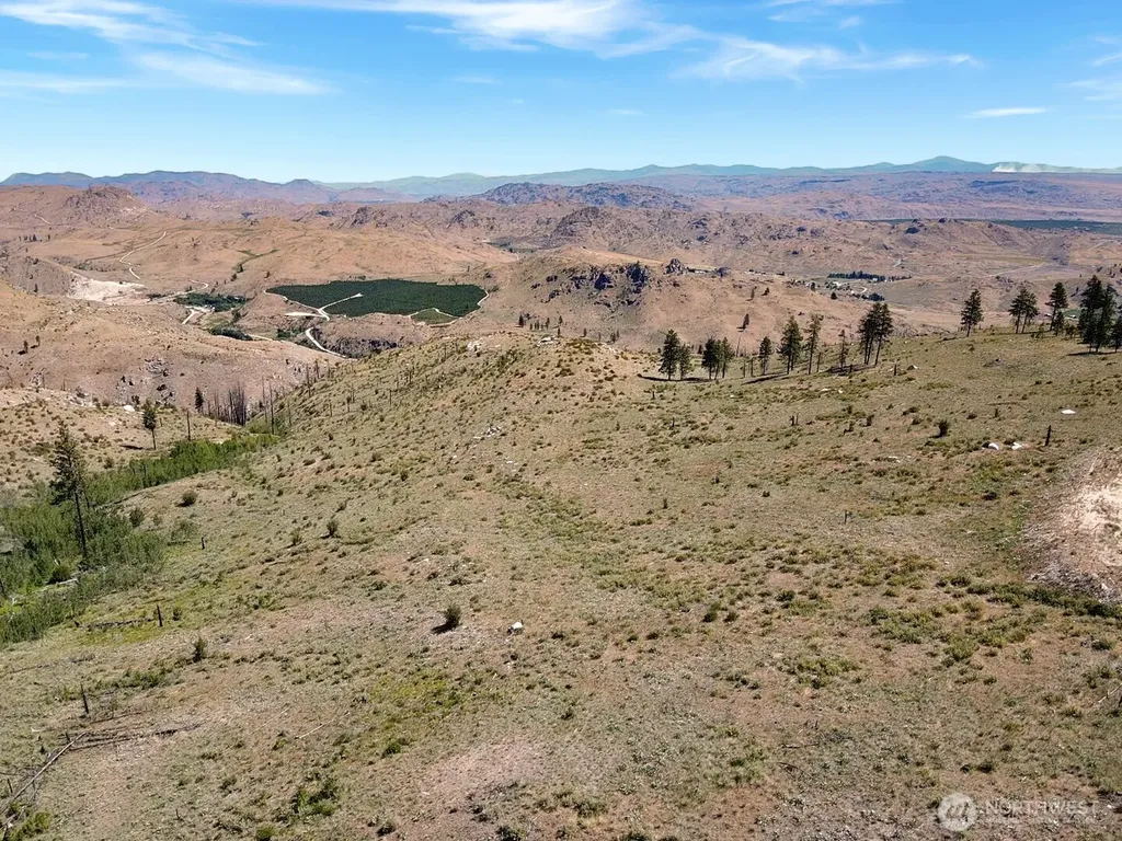 53 E Mountain Point Brewster WA 98812