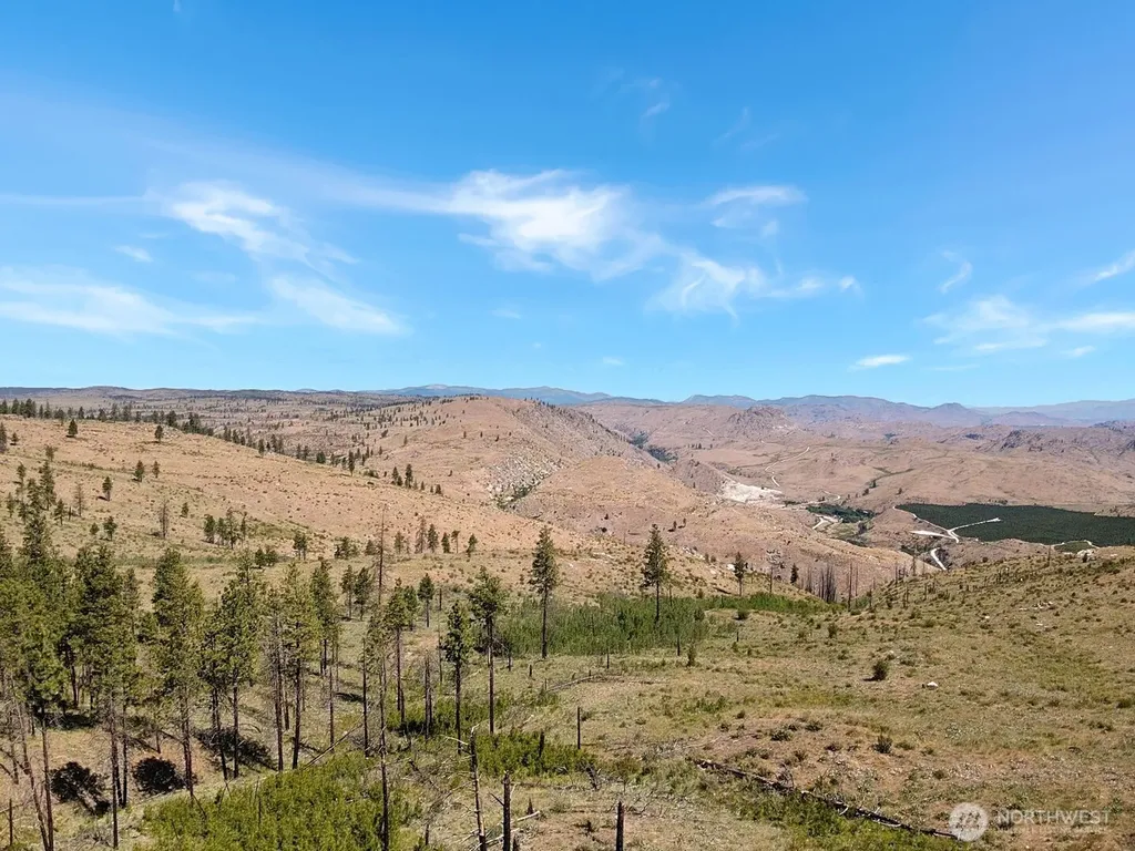 53 E Mountain Point Brewster WA 98812