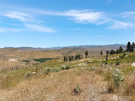53 E Mountain Point Brewster WA 98812