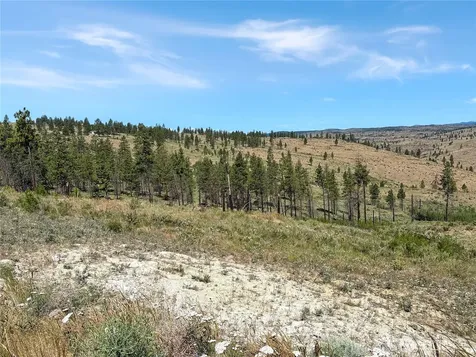 53 E Mountain Point Brewster WA 98812