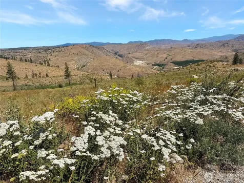 53 E Mountain Point Brewster WA 98812