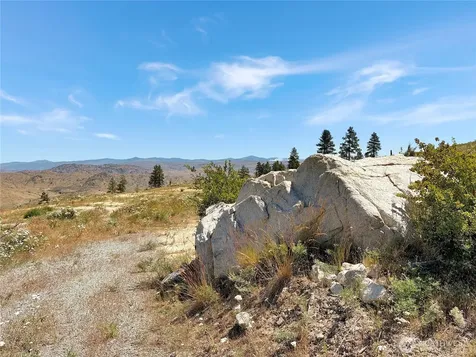 53 E Mountain Point Brewster WA 98812