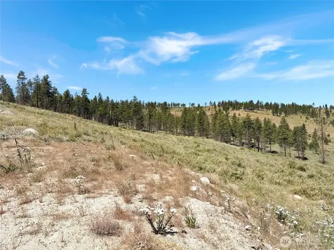 53 E Mountain Point Brewster WA 98812